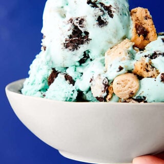 bowl of cookie monster ice cream held